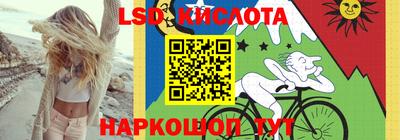 прущие грибы Тверь