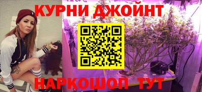 прущие грибы Тверь