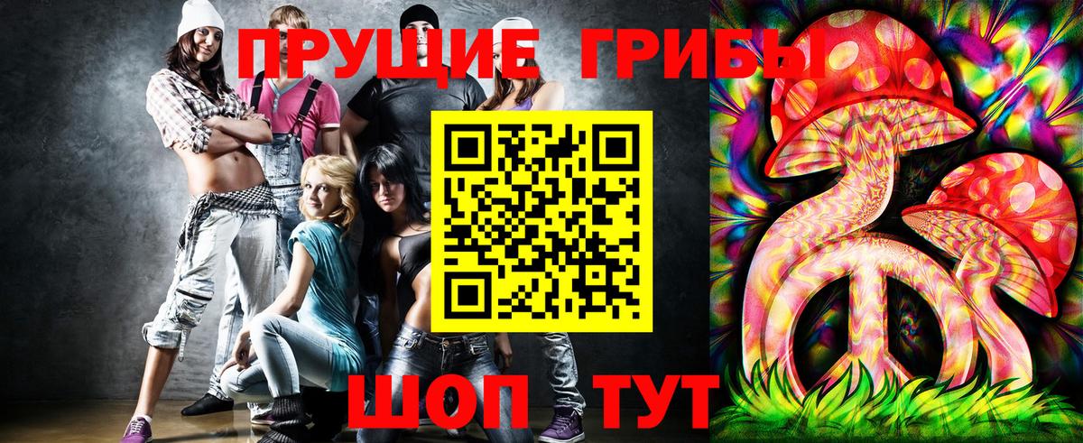 Псилоцибиновые грибы Psilocybe Артёмовский