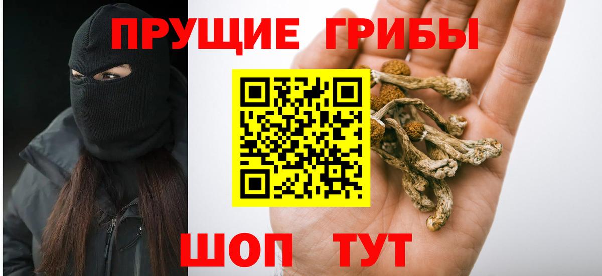 Артёмовский  Псилоцибиновые грибы ЛСД  Вход с VPN 